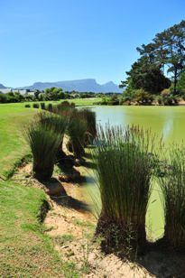 Golfclub Steenberg