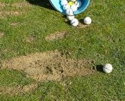 training divot